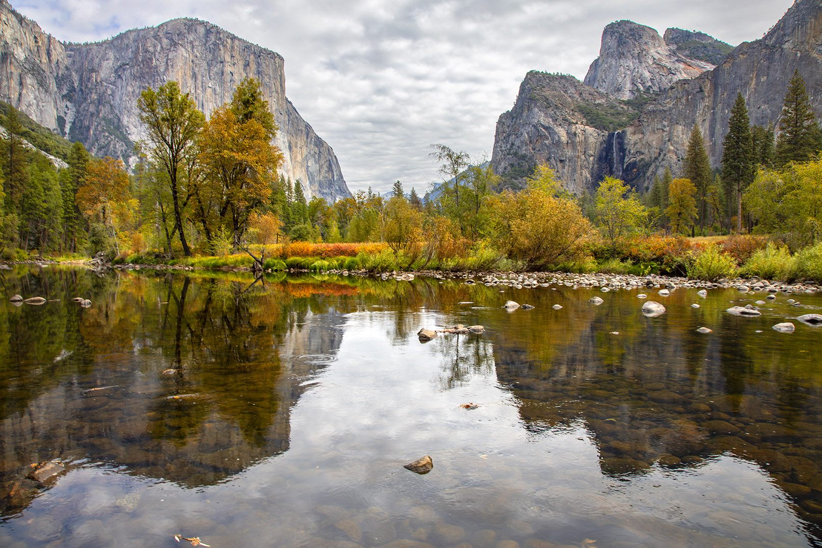 John Stier Photograph Recognized at the Art League Gallery