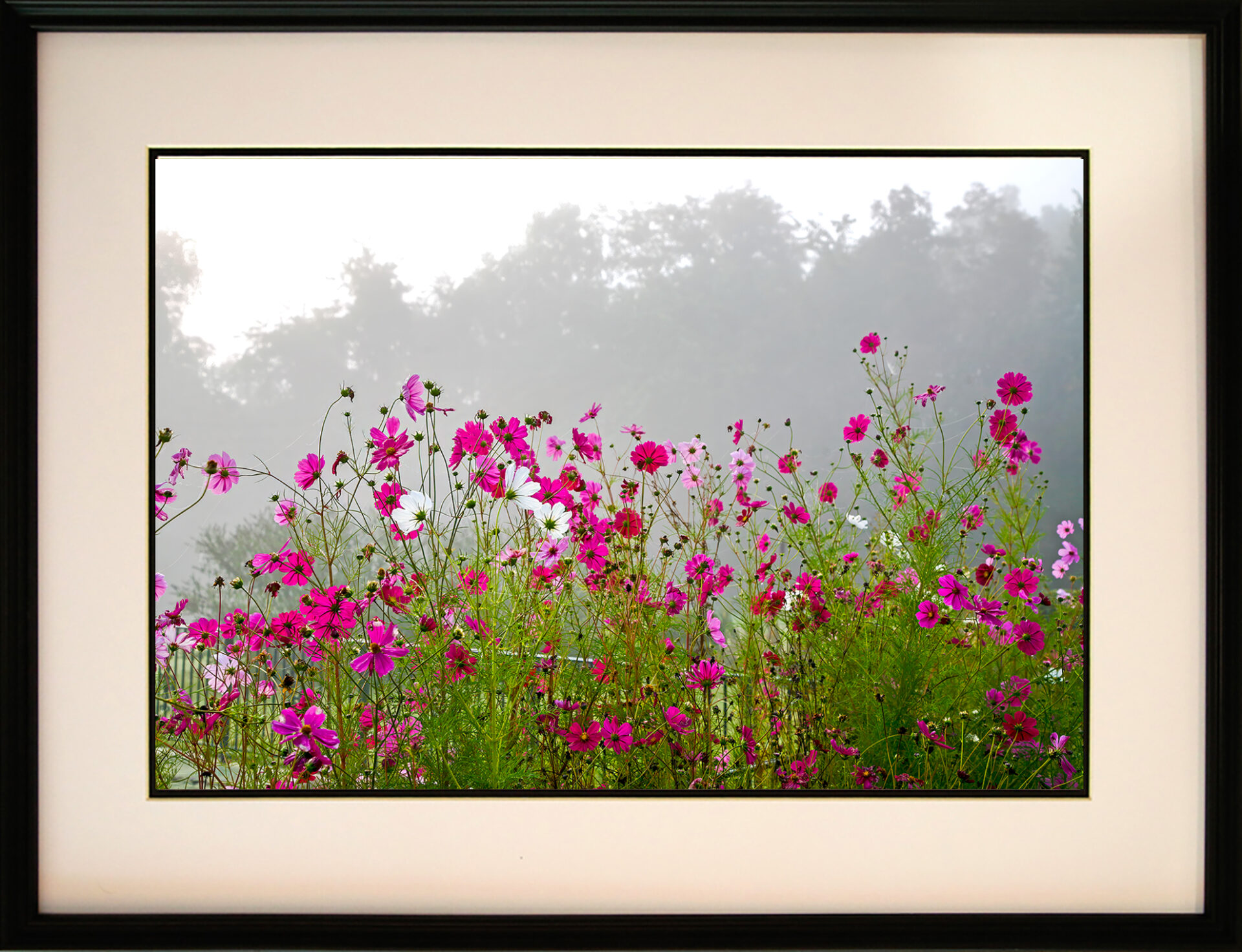 John Stier's Photo in Upcoming Show