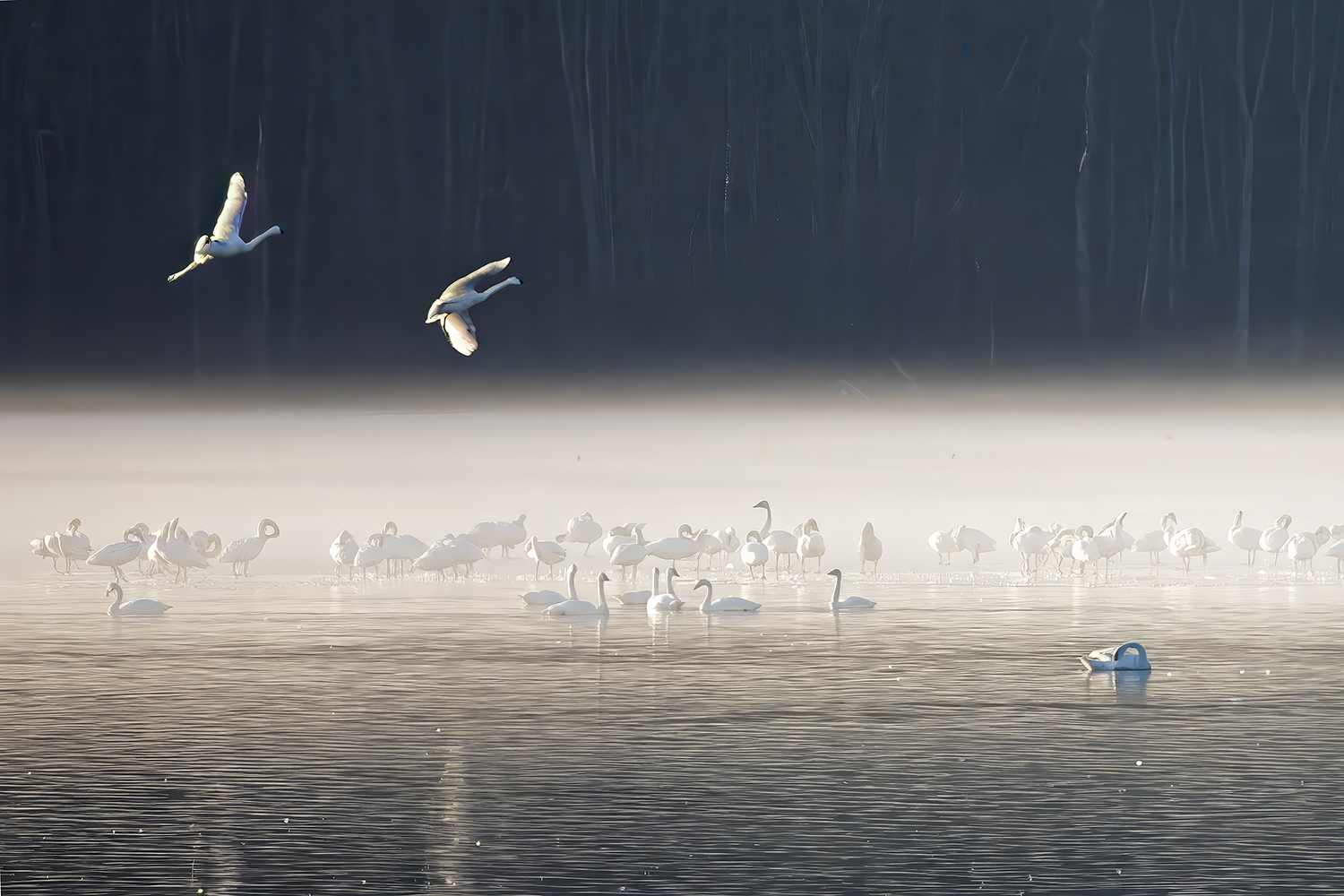 John Stier's photo in Art League Exhibit